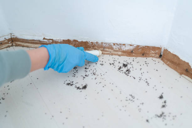 Best Pest Exclusion Services  in Fountainebleau, FL